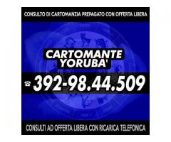 `'•.¸(¯`'•.¸* Cartomante Yoruba' *¸.•'´¯)¸.•' ´