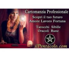 CONSULTO SERIO E PROFESSIONALE 899575707