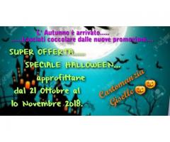 FESTEGGIAMO HALLOWEEN INSIEME,CARTOMANZIA IN PROMOZIONE