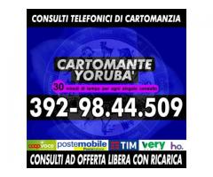 Consulto di Cartomanzia con offerta libera (ricarica telefonica) - Cartomante Yoruba'