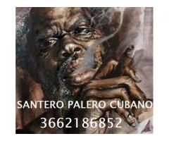 PALERO SANTERO CUBANO ESPERTO IN LEGAMENTI D'AMORE