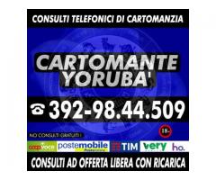 `'•.¸(¯`'•.¸* Cartomante Yoruba' *¸.•'´¯)¸.•' ´