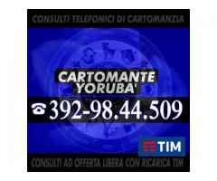 ♈♉♊♋♌♍♎♏♐♑♒♓   CARTOMANTE YORUBA'