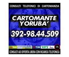 Medium, sensitivo, Cartomante Yorubà