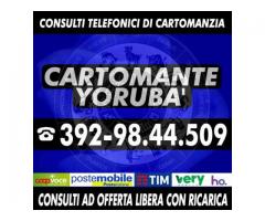 Medium, sensitivo, Cartomante Yorubà