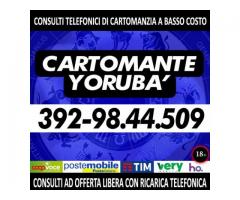 Medium, sensitivo, Cartomante Yorubà