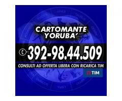 `'•.¸(¯`'•.¸* Cartomante Yoruba' *¸.•'´¯)¸.•' ´