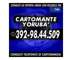 `'•.¸(¯`'•.¸* Cartomante Yoruba' *¸.•'´¯)¸.•' ´