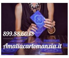 Amalia cartomanzia 899 886 013