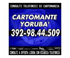 Possibilità anche di Video Consulti con il Cartomante Yorubà