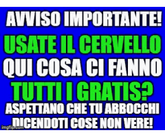 Chi paga viene ben servito dai professionisti veri del settore!