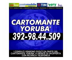 YORUBA', il Cartomante