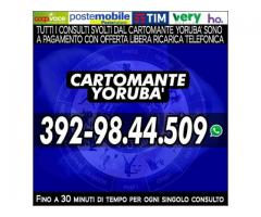 Cartomante Yoruba': il Cartomante YORUBA'