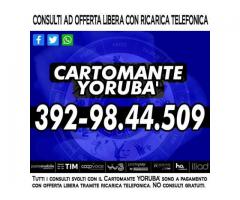 Cartomante Yoruba': il Cartomante YORUBA'