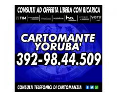 Cartomante Yoruba': il Cartomante YORUBA'