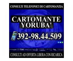 Cartomante Yoruba': il Cartomante YORUBA'