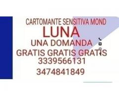 CARTOMANTE MOON SENSITIVA