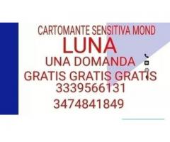 CARTOMANTE MOON SENSITIVA DOMANDA GRATIS GRATIS GRATIS GRATIS GRATIS