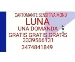 Luna cartomante sensitiva faccio una domanda gratis