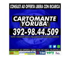 Cartomante Yoruba': il Cartomante YORUBA'