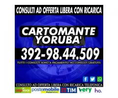 Cartomante Yoruba': il Cartomante YORUBA'