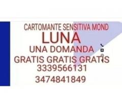 Luna cartomante sensitiva faccio una domanda gratis