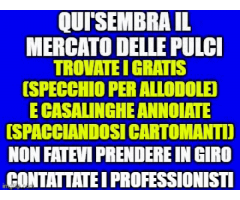 DELUSA DAI GRATIS?AFFIDATI E FIDATI AI PROFESSIONISTI