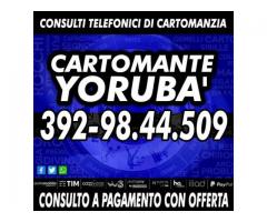 IL CARTOMANTE YORUBA'