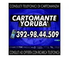 IL CARTOMANTE YORUBA'