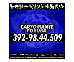 Consulto a pagamento con offerta - Cartomante YORUBA'