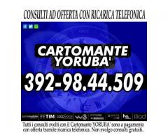 YORUBA' svolge consulti di Cartomanzia a pagamento. Consulto di ALTA QUALITA'