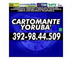 Cercami su http://cartomanteyoruba.altervista.org