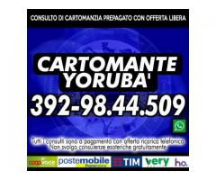 Cercami su http://cartomanteyoruba.altervista.org