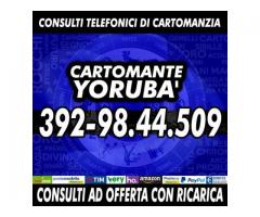 Un consulto con il Cartomante Yoruba' solo chiamando il numero di cellulare che visualizzi in foto