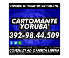 Un consulto con il Cartomante Yoruba' solo chiamando il numero di cellulare che visualizzi in foto