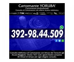 Scegli un numero da 0 a 21 - il Cartomante YORUBA'