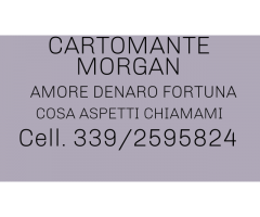 Cartomante sensitivo MORGAN