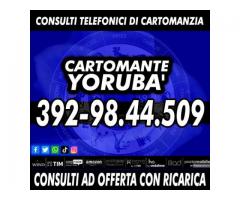 ★Consulto di Cartomanzia a offerta libera - 30 minuti di tempo per 1 consulto - Cartomante Yoruba'★