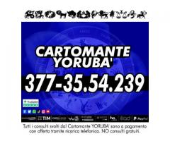 ⚝ IL CARTOMANTE YORUBA’⚝