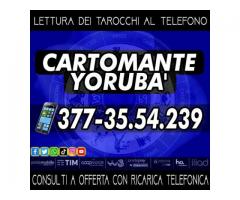 CARTOMANTE YORUBA'