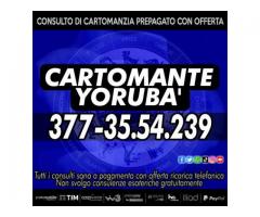 ❤ il Cartomante Yorubà ❤ Lettura dei Tarocchi con offerta ❤