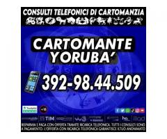 Il Cartomante Yorubà è presente anche su: Facebook, Instagram, Youtube, Tiktok, WhatsApp e X