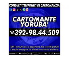 IL CARTOMANTE YORUBA'