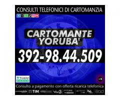 https://bsky.app/profile/cartomanteyoruba.bsky.social