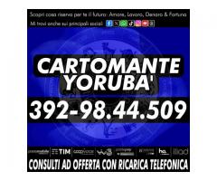 IL CARTOMANTE YORUBA