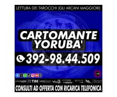 Ogni consulto con il Cartomante Yorubà  contribuisce alla crescita!