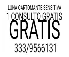 Luna cartomante sensitiva