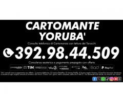 IL CARTOMANTE YORUBA