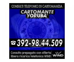 | 1 consulto telefonico di Cartomanzia con il Cartomante YORUBA' | Consulto con offerta libera |