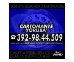 | 1 consulto telefonico di Cartomanzia con il Cartomante YORUBA' | Consulto con offerta libera |